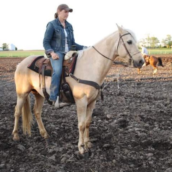 Meet your Posher, Liz - Picture 2 of 2